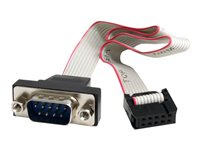 StarTech.com Cable serie de 41 cm a montage sur panneau vers adaptateur de carte mere 10 broches - Câble série - DB-9 (M) pour IDC 10 broches (F) - 40.7 cm - gris PNL9M16