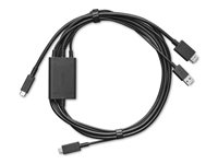 Wacom - Adaptateur vidéo / USB - 24 pin USB-C (M) pour USB, HDMI, 24 pin USB-C (M) ACK4490602Z