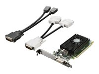 NVIDIA NVS 315 - Carte graphique - NVS 315 - 1 Go DDR3 - PCIe 2.0 x16 profil bas - DMS-59 - pour ThinkCentre M73; ThinkStation E32; P300; P320; P410; P500; P510; P700; P710; P900; P910 4X60F17422