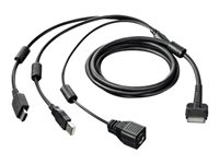 Wacom 3-in-1 - Câble de données /d'alimentation - USB, alimentation, HDMI ACK42012