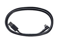 Wacom - Câble USB - mini USB type B (M) incliné pour USB (M) droit - 2 m - pour Intuos Pro Large, Moyen, Petite ACK42206