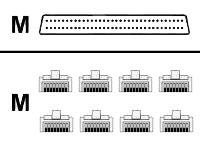 Cisco - Câble de routeur (DTE) - HD-68 (M) pour RJ-45 (M) - pour P/N: NM-16A, NM-16A=, NM-16A-RF, NM-32A=, NM-32A-RF CAB-OCTAL-ASYNC=