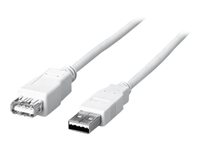 Uniformatic - Rallonge de câble USB - USB (M) pour USB (F) - USB 2.0 - 1.8 m - moulé 10460