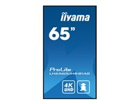 iiyama ProLite LH6560UHS-B1AG - Classe de diagonale 65" (64.5" visualisable) écran LCD rétro-éclairé par LED - signalisation numérique - avec lecteur multimédia SoC intégré - 4K UHD (2160p) 3840 x 2160 - éclairage périphérique - noir, finition matte LH6560UHS-B1AG