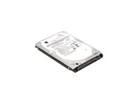 Lenovo ThinkPad - Disque dur - 1 To - 2.5" - SATA 6Gb/s - 5400 tours/min - pour ThinkPad E490; E590; L560; P50; P51; P51s; P70; P71; ThinkPad Yoga 14; 460 4XB0K48493