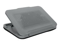 Targus Chill Mat - Ventilateur d'ordinateur portable - support ajustable - avec 2 ventilateurs de refroidissement - 18" - gris AWE90GL
