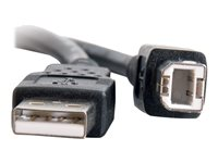 C2G 6.6ft USB A to USB B Cable - USB A to B Cable - USB 2.0 - Black - M/M - Câble USB - USB (M) pour USB type B (M) - USB 2.0 - 2 m - noir 28102