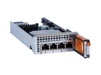 Dell EMC - Module d'extension - 10Gb Ethernet x 4 - pour Unity XT 380, 380F, 480, 480F, 680; Unity XT 380; 380F; 480; 480F; 680F; 880F D4SL10ICU