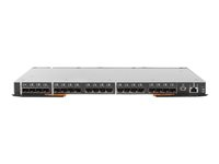 Lenovo Flex System FC5022 16Gb SAN Scalable Switch - Commutateur - Géré - 20 x 16Gb Fibre Channel SFP+ + 28 x 16Gb Fibre Channel + 2 x 10/100/1000 + 1 x 10/100 - Module enfichable 88Y6374