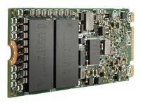 HPE Mixed Use Extended Temperature - SSD - 960 Go - interne - M.2 22110 - PCIe 3.0 x4 (NVMe) P05892-B21