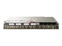 HPE 4Gb Fibre Channel Pass-Thru - Module d'extension - Fibre Channel 4 Go (SW) - fibre optique - 16 ports - pour BLc3000 Enclosure; BLc7000 Three-Phase Enclosure; ProLiant c3000 403626-B21