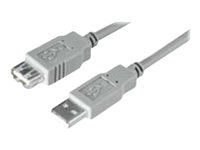 Uniformatic - Rallonge de câble USB - USB (F) pour USB (M) - USB 2.0 - 50 cm - gris 10456