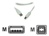 MCL - Câble USB - USB (M) pour USB type B (M) - USB 2.0 - 3 m - translucide MC922AB-3M/T