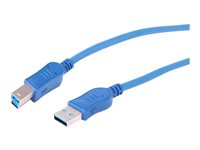 Uniformatic - Câble USB - USB type A (M) pour USB Type B (M) - USB 3.0 - 5 m - moulé 10482